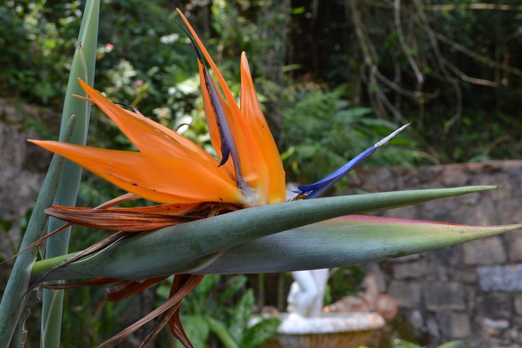 ホテルFazenda Agua Encantada アングラドスレイス エクステリア 写真